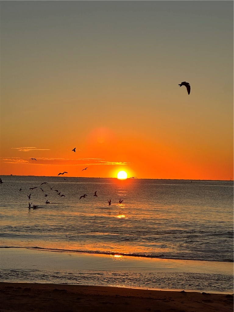 815 Ocean Road