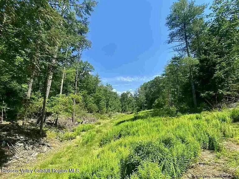 Tbd Mulberry Lane