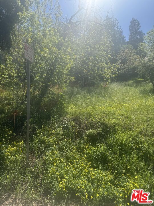 0 Groveland Dr
