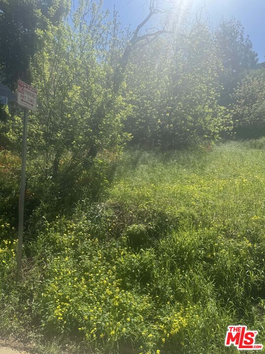 0 Groveland Dr