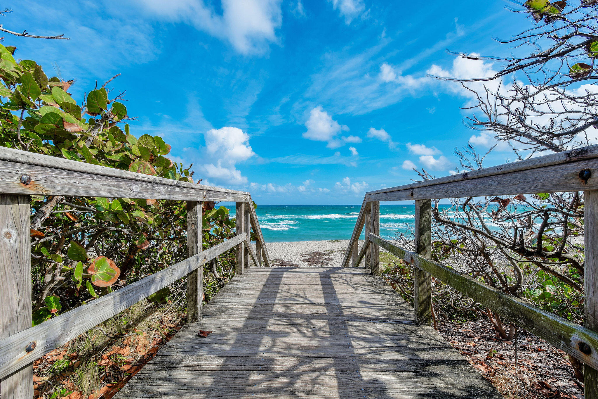 201 Ocean Bluffs Boulevard 5010