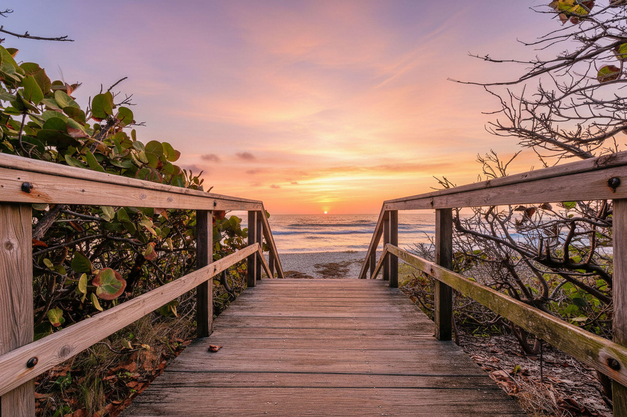 201 Ocean Bluffs Boulevard 5010