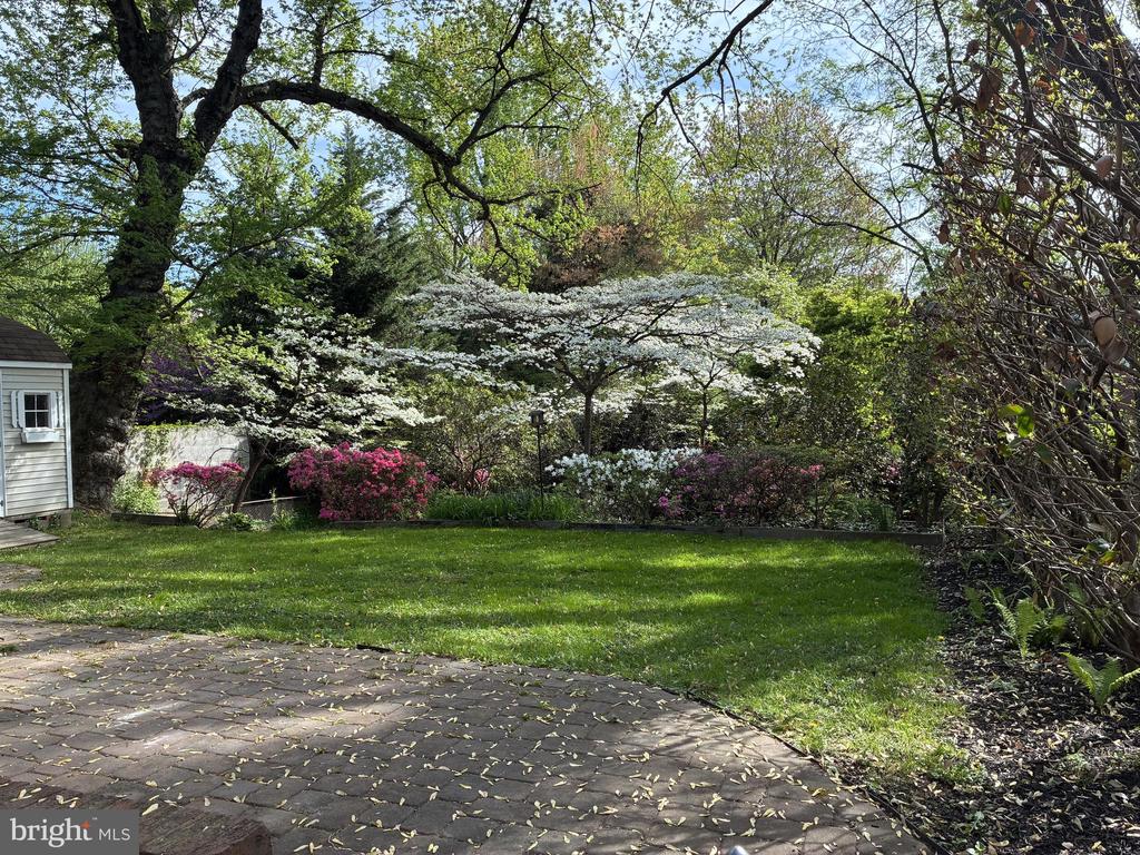 9409 WOODLAND DRIVE