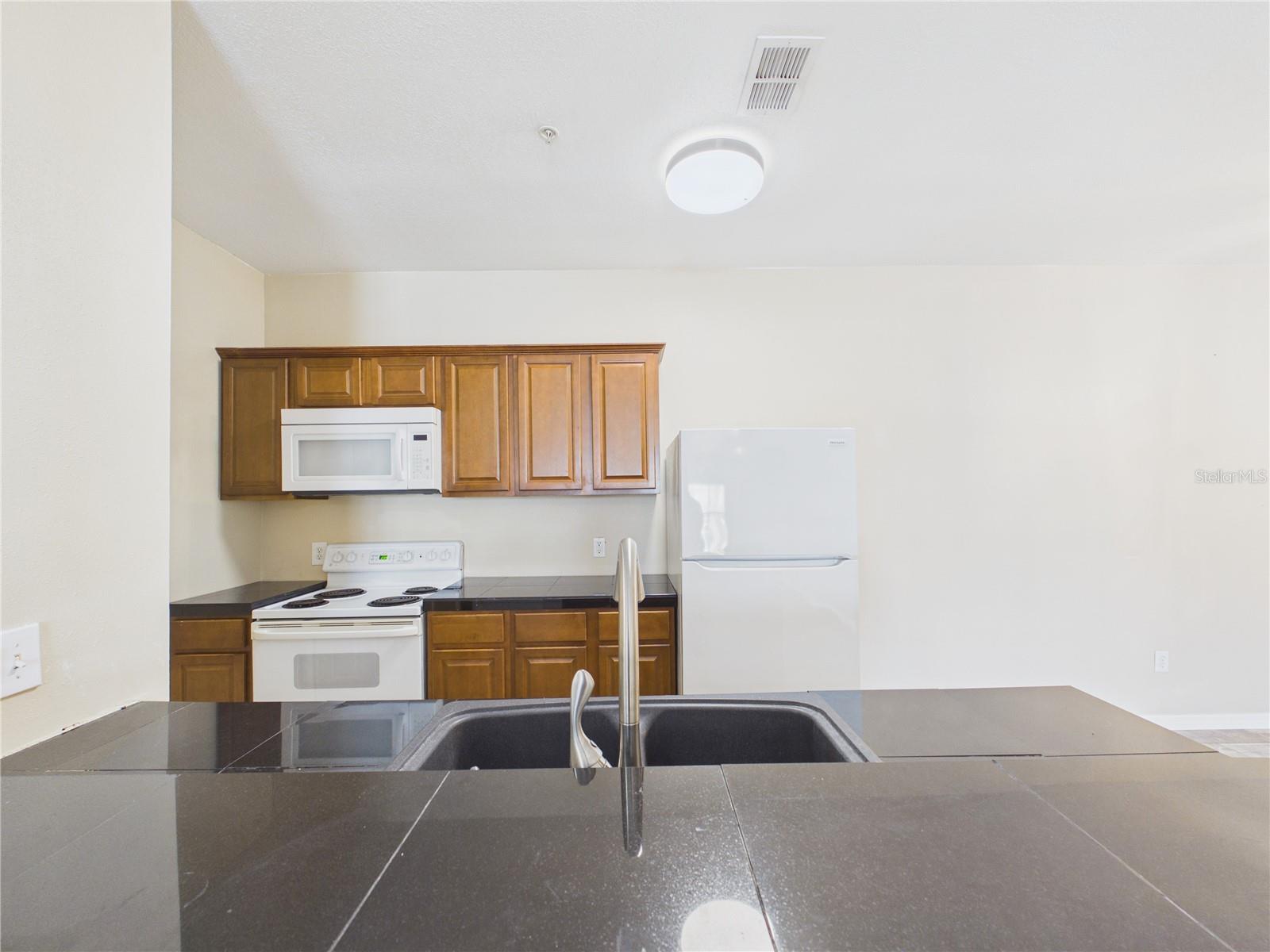 16305 ENCLAVE VILLAGE DR #102