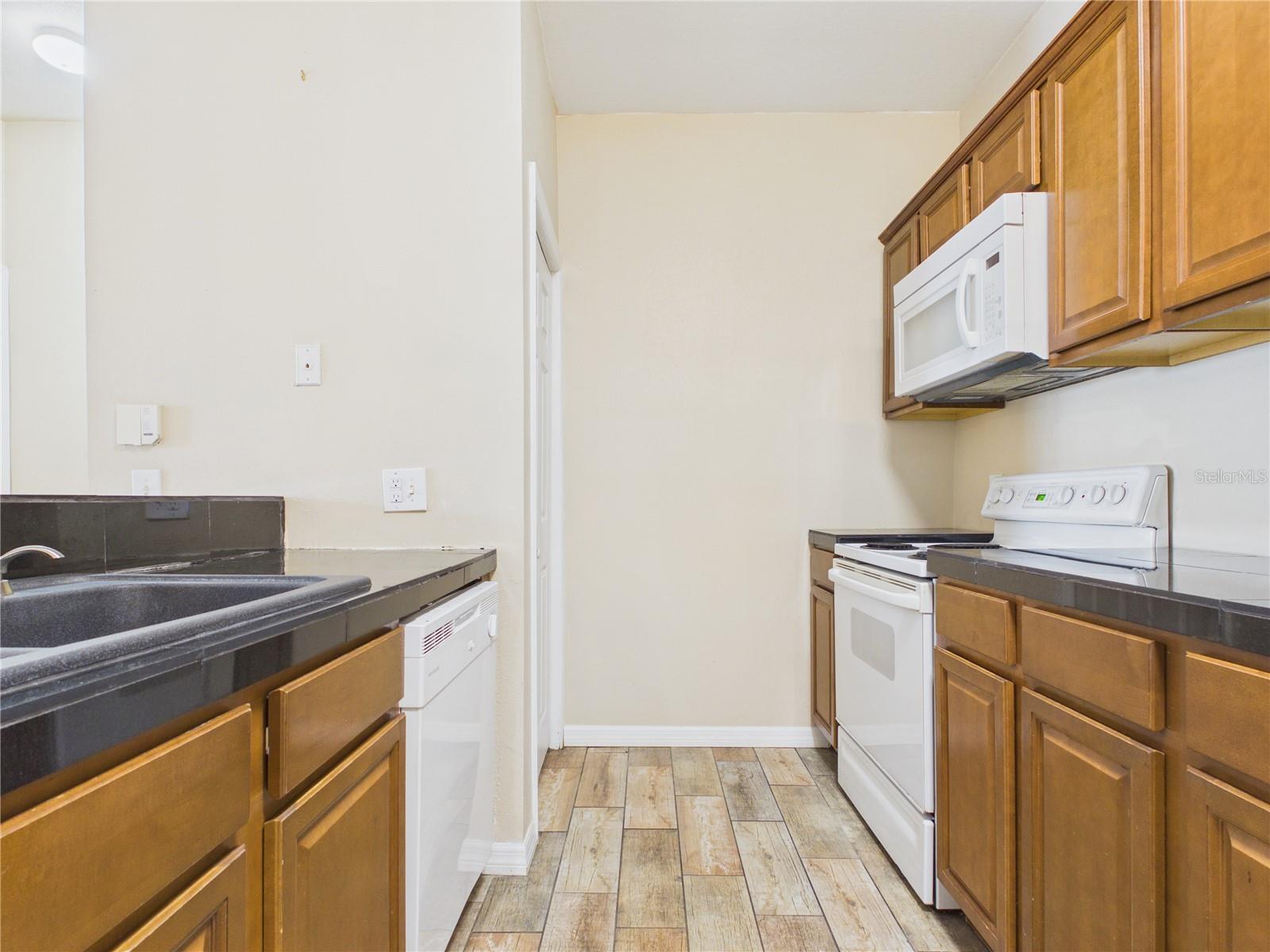 16305 ENCLAVE VILLAGE DR #102