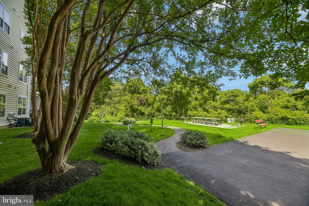 1591 SPRING GATE DRIVE 3311