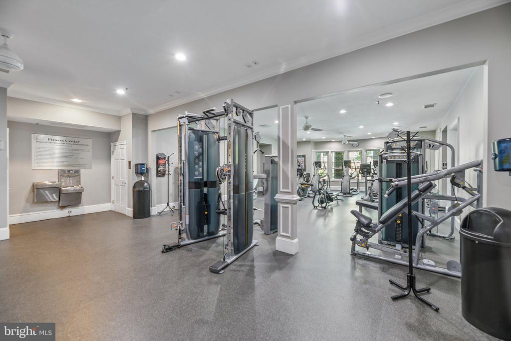 1591 SPRING GATE DRIVE 3311
