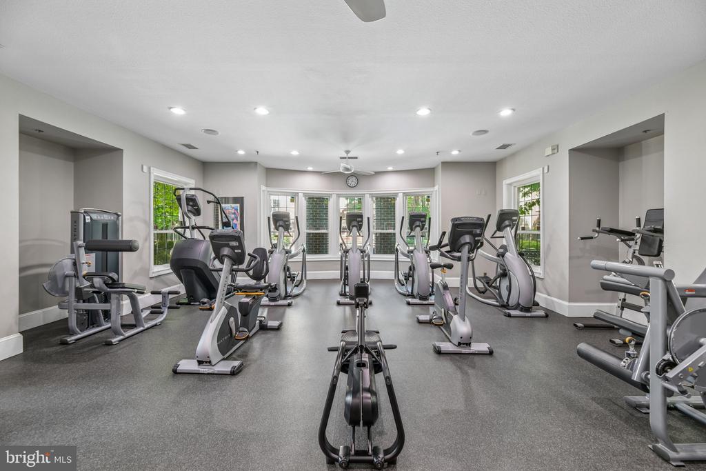 1591 SPRING GATE DRIVE 3311